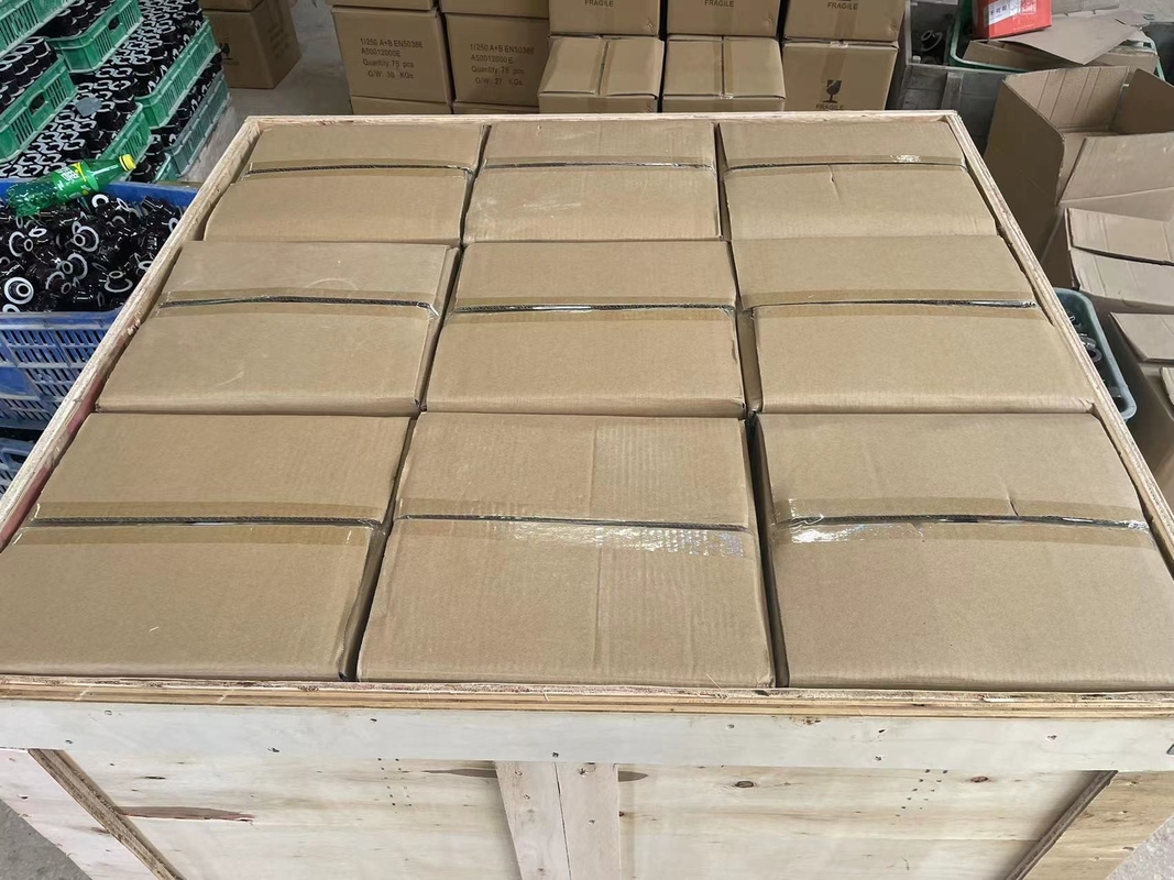 OEM standard della boccola CD70MM della porcellana del trasformatore di BACCANO 1kV 250A